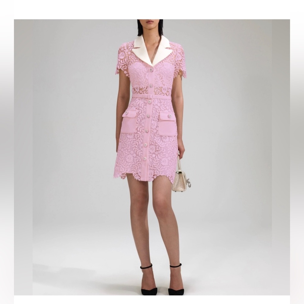 Self-Portrait Pink Lace Dress